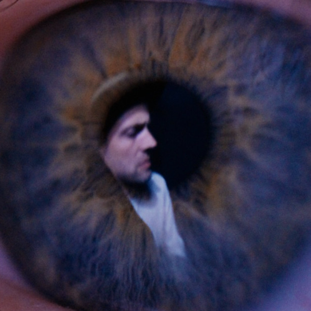 The Veils